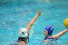 WWPolo vs CC  Wheaton College Women’s Water Polo compete in their sports inaugural match vs Connecticut College. - Photo By: KEITH NORDSTROM : Wheaton, water polo, inaugural